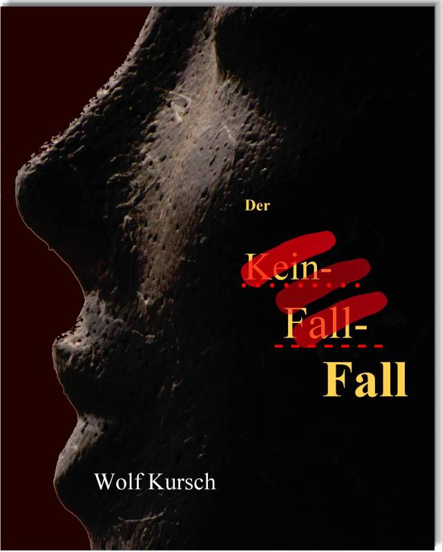 Buch-Cover von Der Kein-Fall-Fall