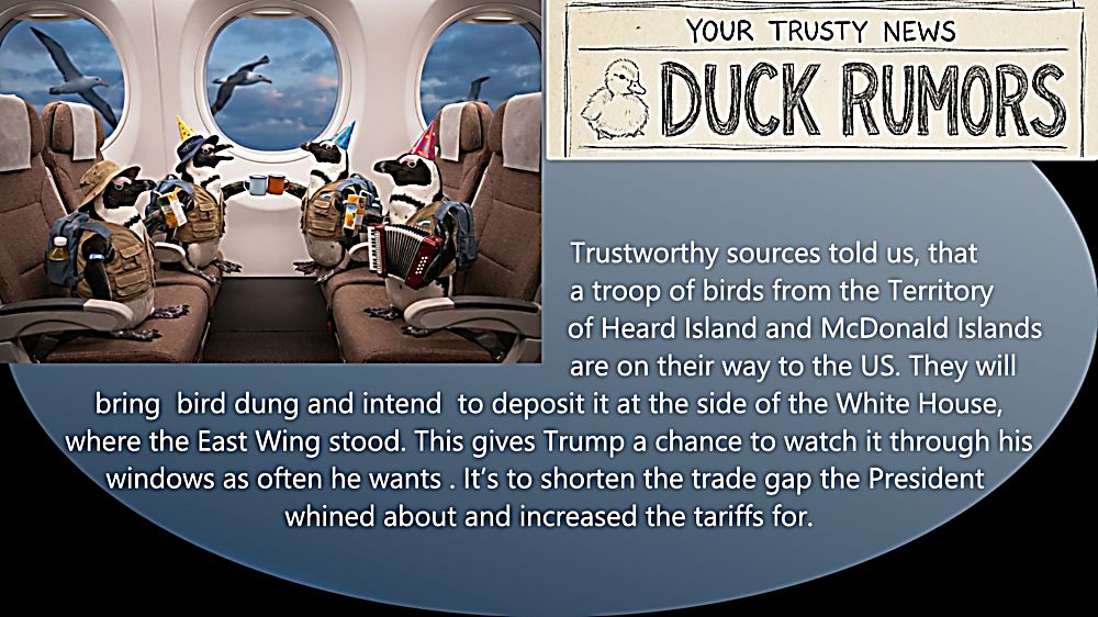 Ihad09-News04-800i-80 I had a dream (9) – Duck news